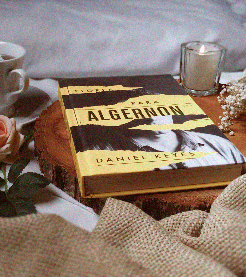 5 motivos para ler | Flores para Algernon, Daniel Keyes - Abdução Literária
